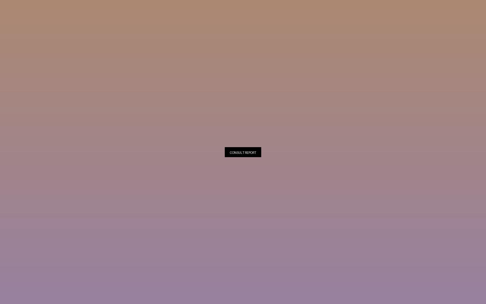 B2B conversion report